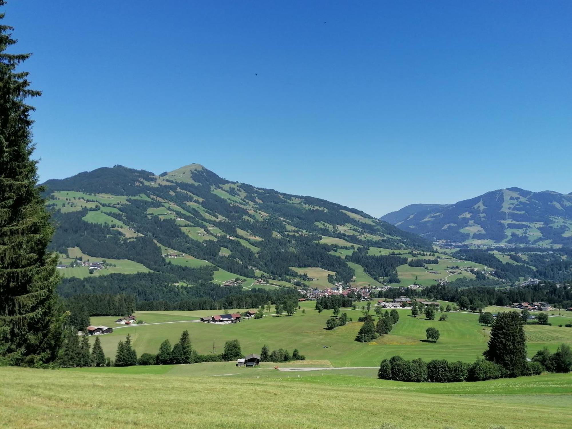 Embacher Marianne - Rotharlhof Hopfgarten im Brixental Bagian luar foto